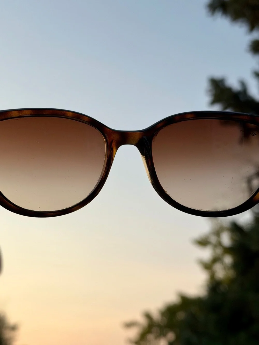 Ray-Ban Emma Sunglasses